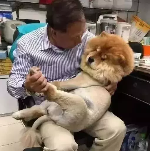據說養這幾種狗會讓家裡非常臭,你中招了嗎?