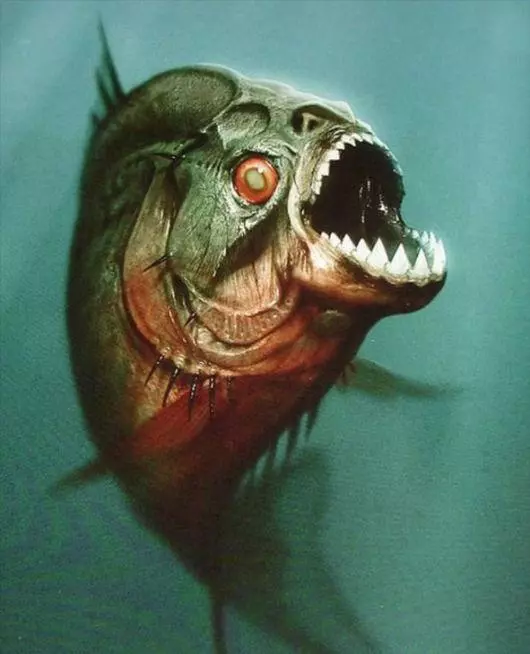 揭秘:生性兇猛的食人魚有天敵嗎?它的天敵是誰呢?