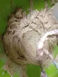 13款年餅的詳細做法【草莓醬曲奇餅乾~玉米脆片~南洋風味 - 炸花生餅~風車香酥餅乾~金桶牛油黃梨卷