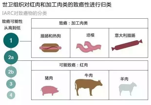 吃素50多年的心髒外科醫生,102歲仍舊精神抖擻、神采奕奕.90多歲時仍在一線指導外科手術。