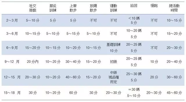 幼年狗狗也會患關節炎?過分活躍停不下來,過度運動易患關節炎