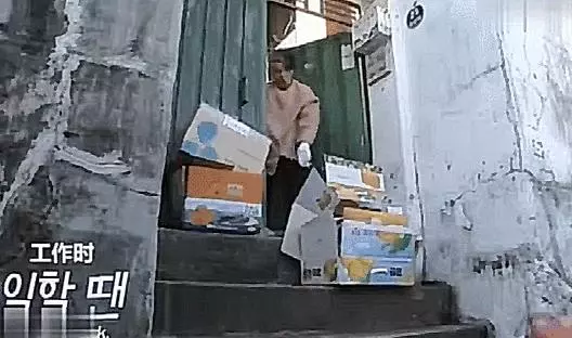 暖心!狗狗陪伴高齡老太十年,就算腿「骨折」還是走哪跟哪