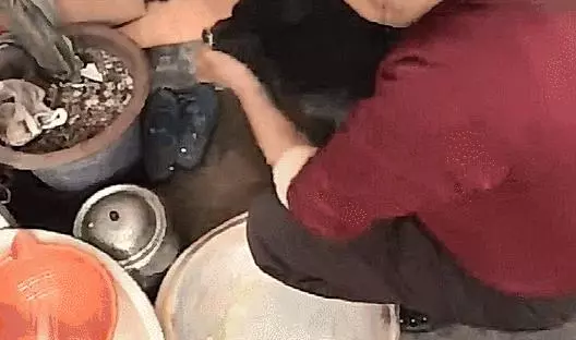 暖心!狗狗陪伴高齡老太十年,就算腿「骨折」還是走哪跟哪