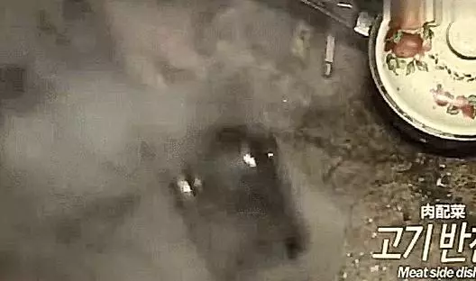 暖心!狗狗陪伴高齡老太十年,就算腿「骨折」還是走哪跟哪