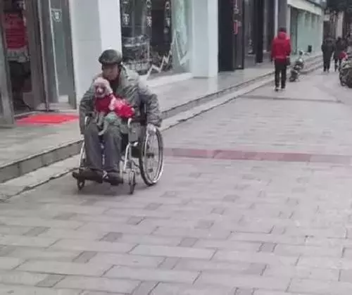 守老人與流浪狗不離不棄相互陪伴,網友:狗狗不是寵物,是家人