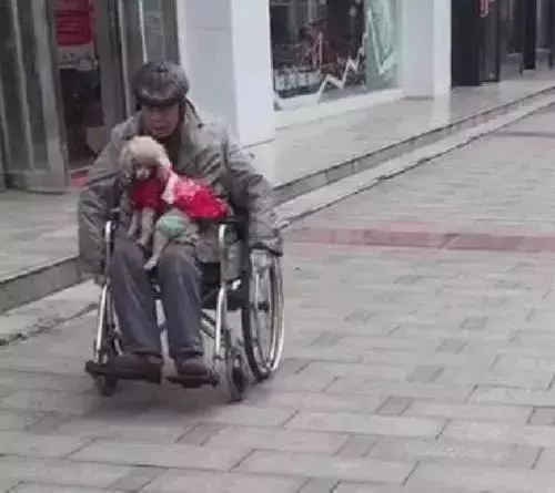 守老人與流浪狗不離不棄相互陪伴,網友:狗狗不是寵物,是家人