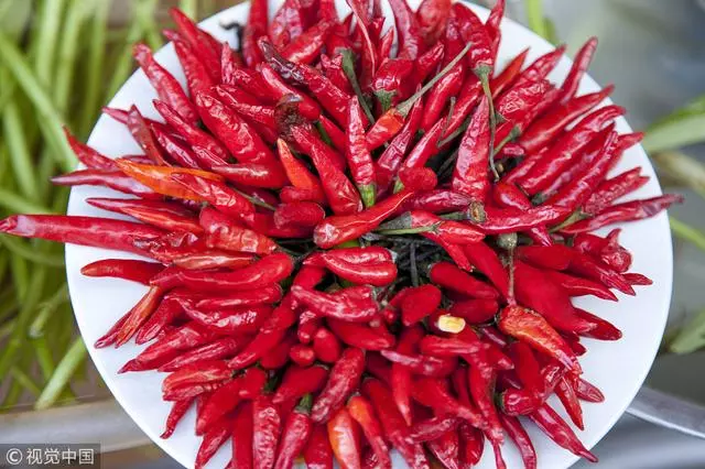 辣是痛覺?為啥有人討厭香菜?快來了解這些食物冷知識