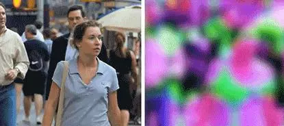 看完貓狗眼中的世界,我發覺還是當人好