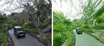 看完貓狗眼中的世界,我發覺還是當人好