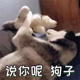 看完貓狗眼中的世界,我發覺還是當人好