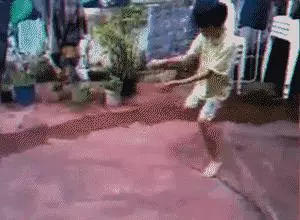 看完貓狗眼中的世界,我發覺還是當人好