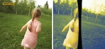 看完貓狗眼中的世界,我發覺還是當人好
