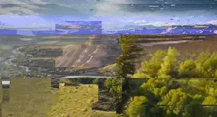 看完貓狗眼中的世界,我發覺還是當人好