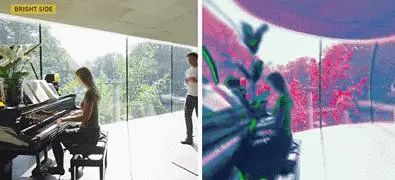 看完貓狗眼中的世界,我發覺還是當人好