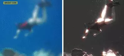 看完貓狗眼中的世界,我發覺還是當人好