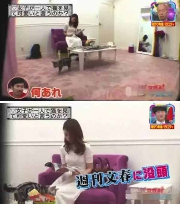 節目為了測試「日本女生到底有多做作」,讓她們跟小鮮肉獨處一室,接著攝影機拍到了「最真實的一面¨¨!」