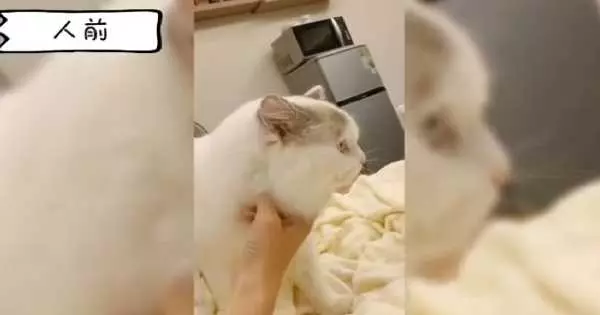 這不是雙面什麼才是雙面! 貓皇門外狂譙髒話..媽:以為廁所隔音好?