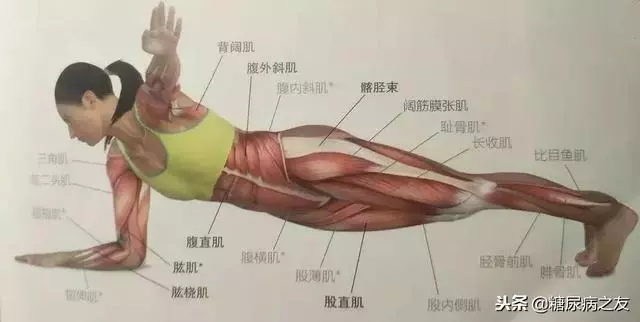 糖尿病患者學會這個動作,隨時隨地都可以降血糖