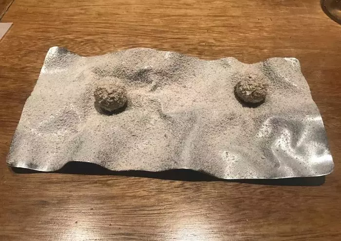 朋友帶我去號稱全世界最好的一家餐廳,一頓飯要1萬8000元,當兩顆水煮蛋被拿出來時,我已經瀕臨崩潰....!