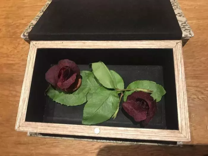 朋友帶我去號稱全世界最好的一家餐廳,一頓飯要1萬8000元,當兩顆水煮蛋被拿出來時,我已經瀕臨崩潰....!