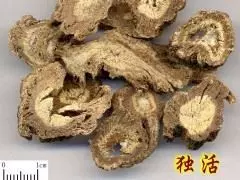 治療頭暈方(眩暈症)我有幾個朋友用了,效果都很好,不再發作了!