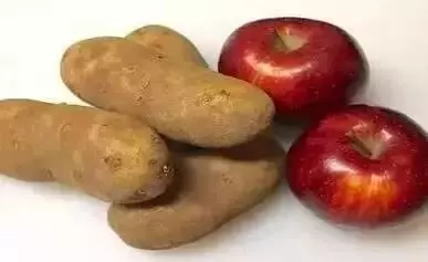 學會這一招,蔥蒜薑放半年都不會壞 !簡單實用保存法,學起來!