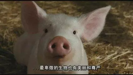 如果孩子處在3-12歲,請給他看看這4部電影,意義重大