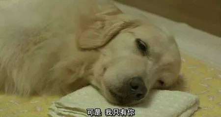 如果孩子處在3-12歲,請給他看看這4部電影,意義重大
