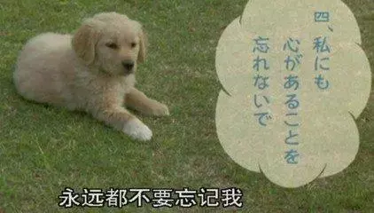 如果孩子處在3-12歲,請給他看看這4部電影,意義重大