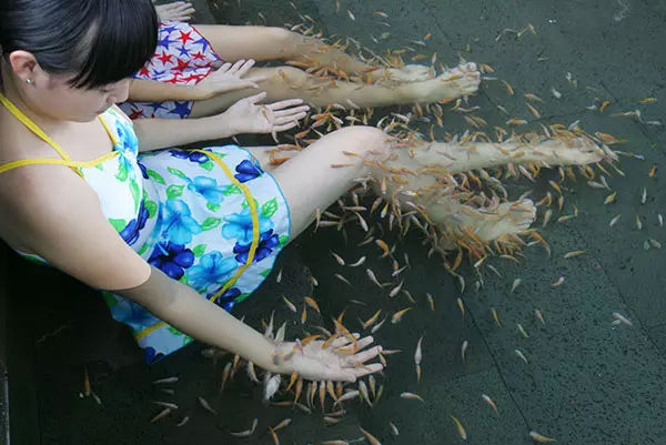 女子做魚療滑進水中,起來後下面巨疼,去醫院檢查,醫生:鑽進去!