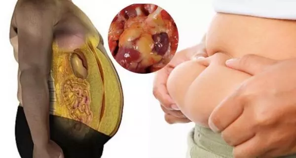 脂肪太多竟然可以用吃解決?這15種的食物能吸光你多餘的贅肉,怎麼現在才知道!!