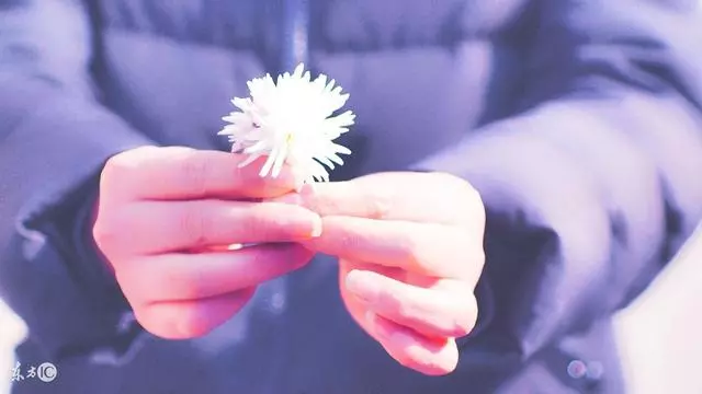 前妻逼我離婚後拋下兒子走了 毫無音訊 三年後門口跪著一個人