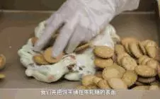 10分鐘都不用!烤箱新年就做這個了,三個味道換著吃