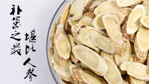 它被稱為「長壽草」,補氣功效不得了