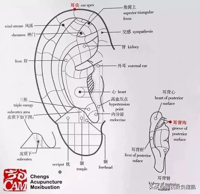 害怕降壓過了頭?每天堅持按揉這幾個穴位,安全降壓不傷肝腎