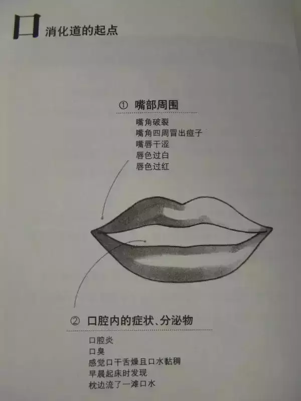 【中醫望診精華圖解】