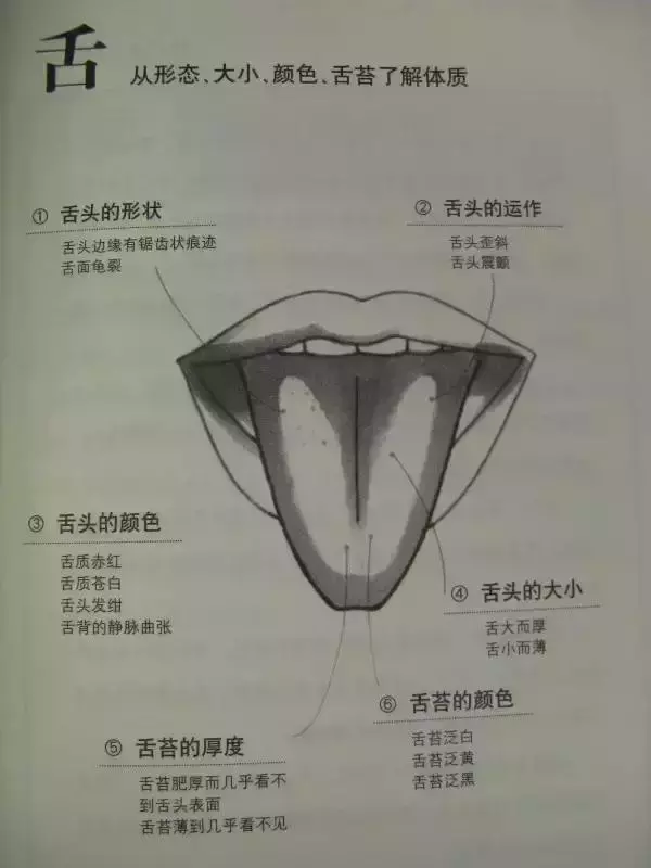 【中醫望診精華圖解】