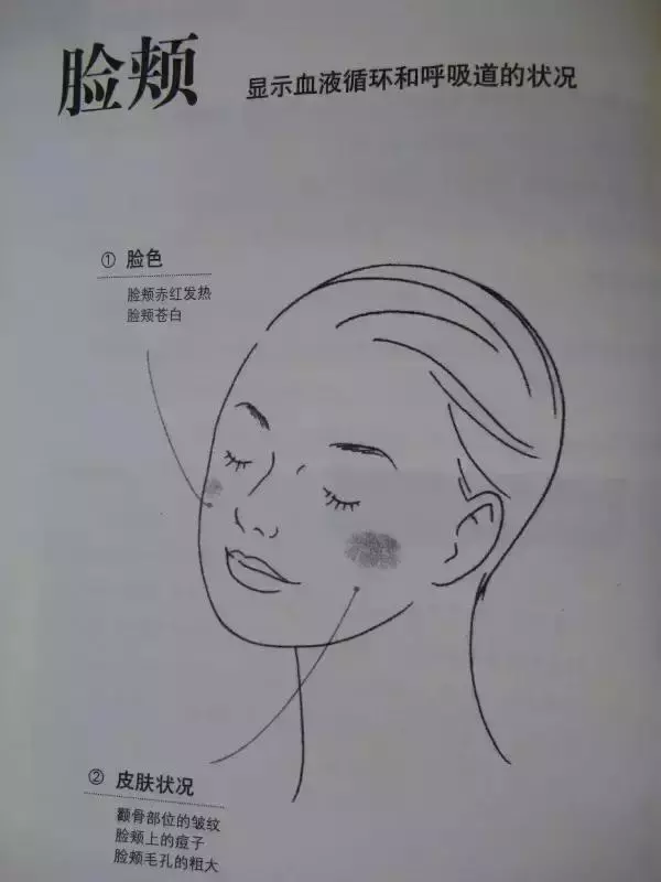 【中醫望診精華圖解】