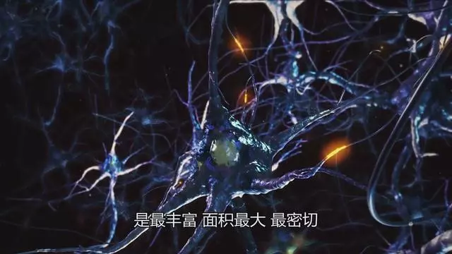 動動手也是做操?這七式手指操功效多多,讓你從此告別手腳冰涼!