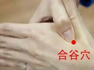 穴位養生堂:按按鼻通等3穴位,舒緩鼻過敏超簡單!