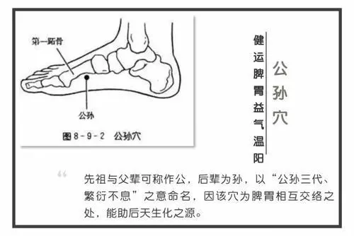 【每日一穴:公孫穴】