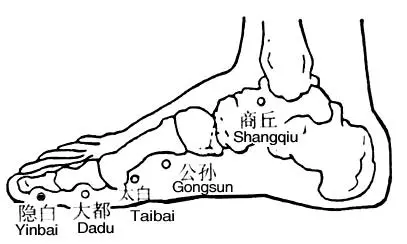 【每日一穴:公孫穴】