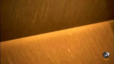 經常吃的薯片,是直接切出來的,還是土豆泥壓出來的?