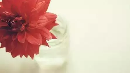 一生太短,我們都等不起