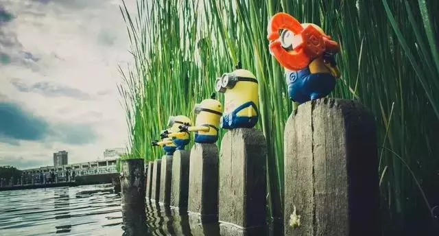 魚那麼信任水,水卻煮了魚!