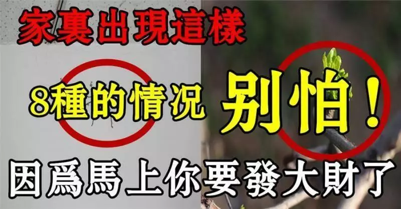 家中如出現這「8種」情況不要害怕,因為你馬上就要發大財了!