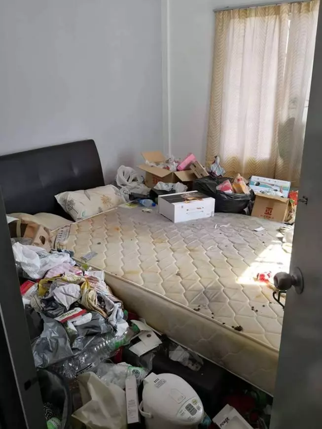 【極品Housemate!】大馬網友爆家裡經常出現蟑螂,打開『女屋友房間』一看瞬間崩潰!