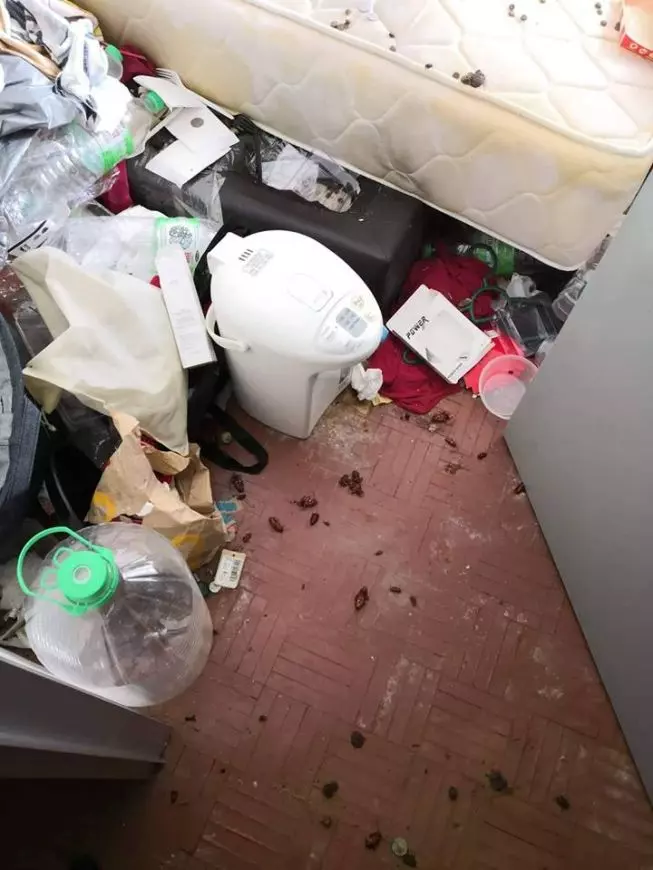 【極品Housemate!】大馬網友爆家裡經常出現蟑螂,打開『女屋友房間』一看瞬間崩潰!