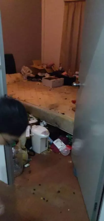 【極品Housemate!】大馬網友爆家裡經常出現蟑螂,打開『女屋友房間』一看瞬間崩潰!
