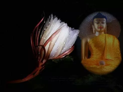 因果不虛:錢怎麼來的,就會怎麼去!